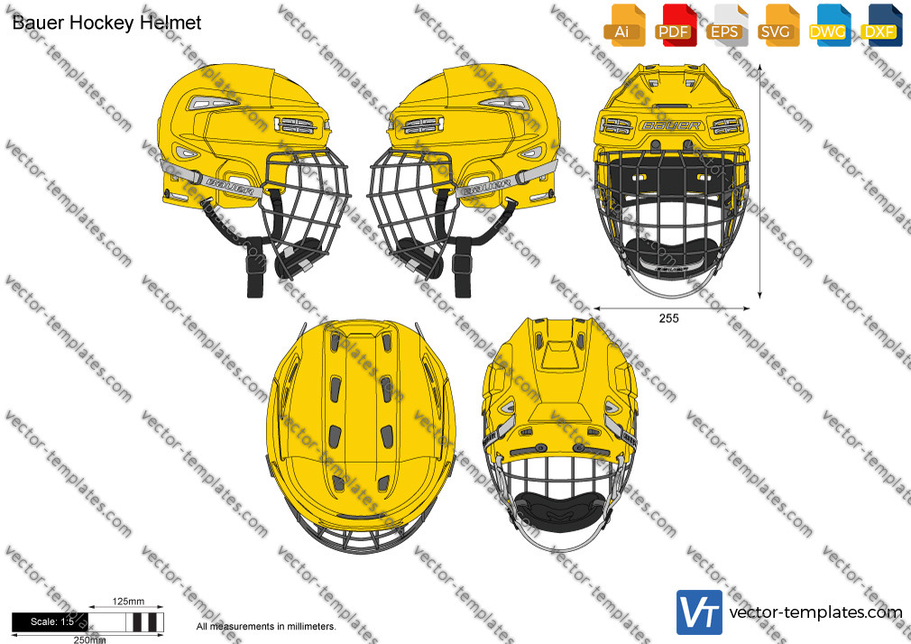 Bauer Hockey Helmet 