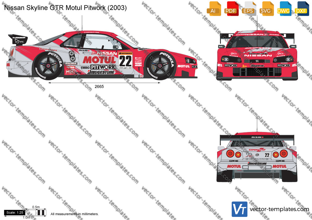 Nissan Skyline GTR Motul Pitwork 2003