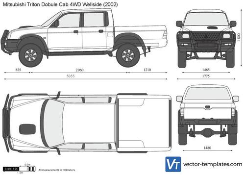 Mitsubishi Triton Double Cab 4WD Wellside