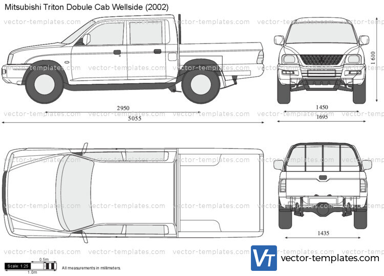 Mitsubishi Triton Double Cab Wellside