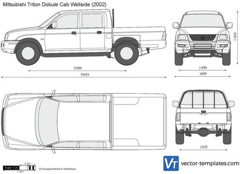 Mitsubishi Triton Double Cab Wellside