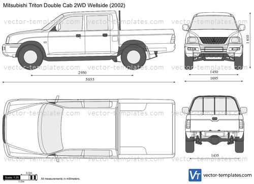 Mitsubishi Triton Double Cab 2WD Wellside