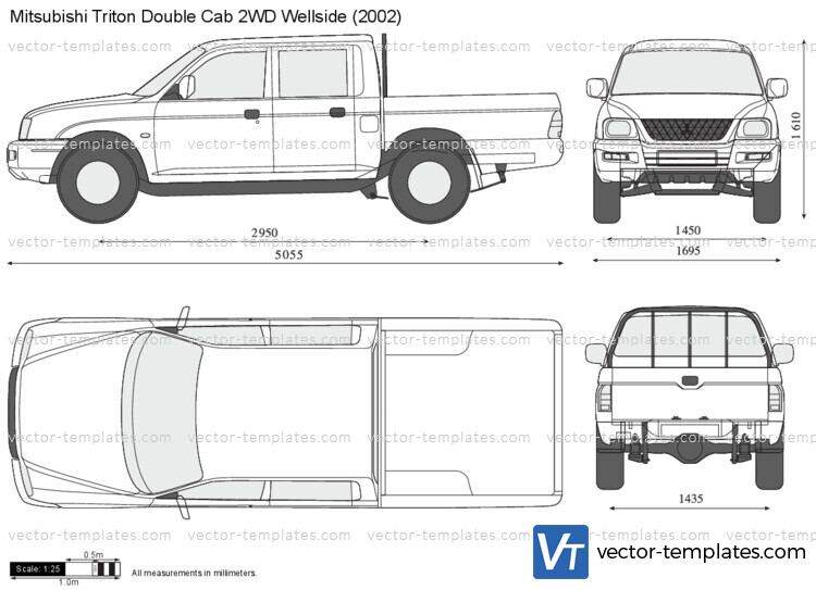 Mitsubishi Triton Double Cab 2WD Wellside