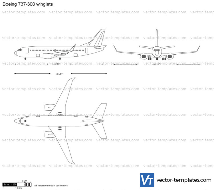 Boeing 737-300 winglets