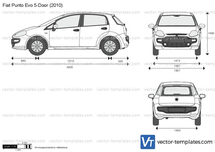 Fiat Punto Evo 5-Door