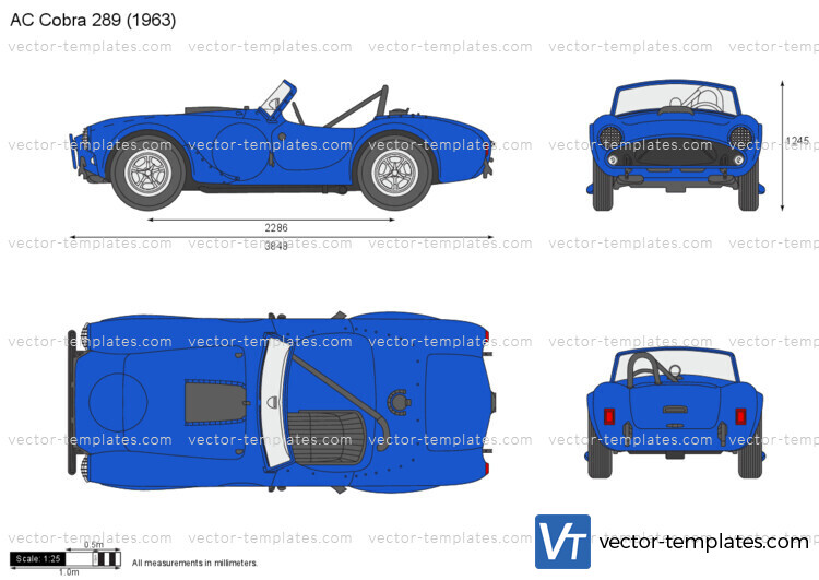 AC Cobra 289