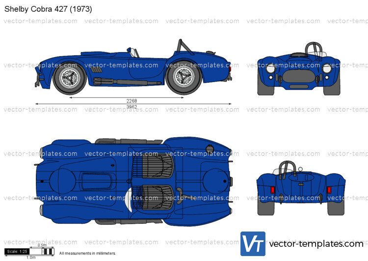 Shelby Cobra 427