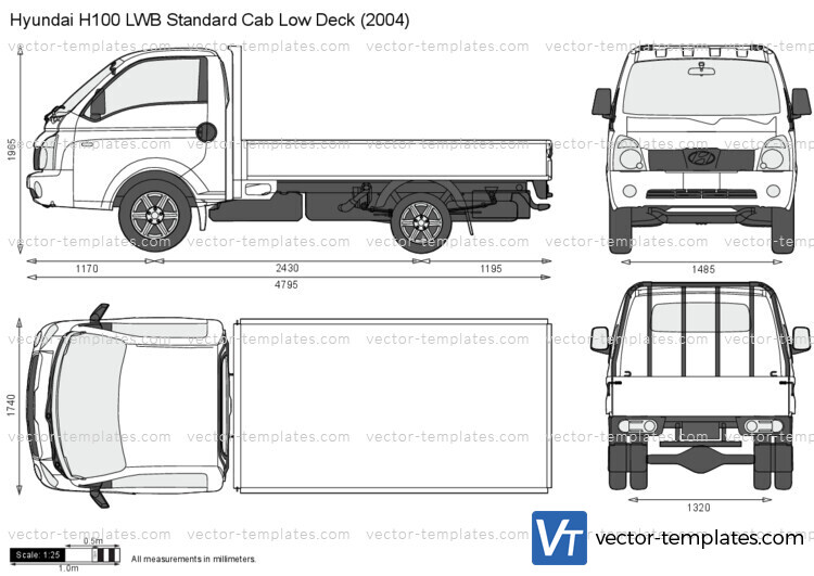 Hyundai H100 LWB Standard Cab Low Deck