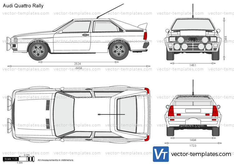 Audi Quattro Rally