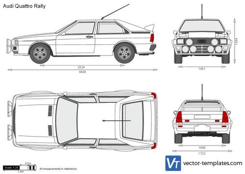 Audi Quattro Rally