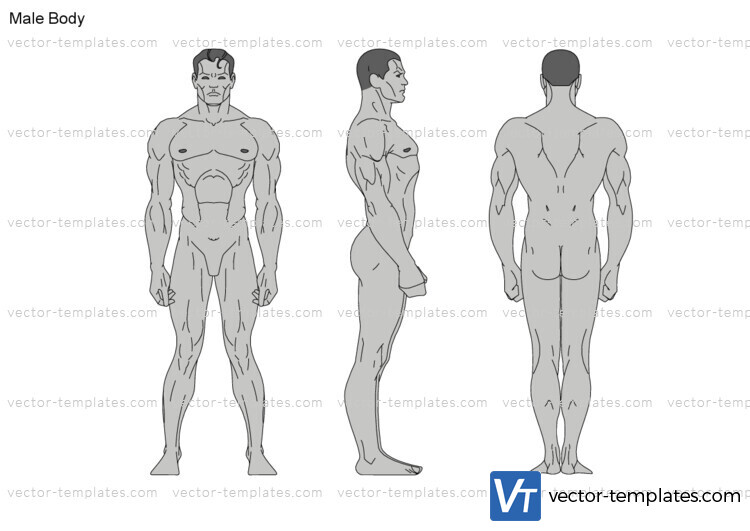 Templates - Humans - Humans - Male Body