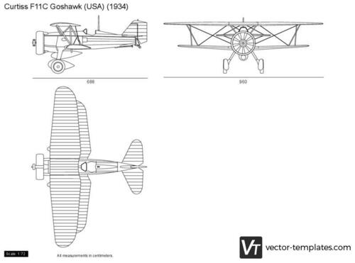 Curtiss F11C Goshawk (USA)