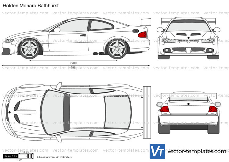 Holden Monaro Bathhurst