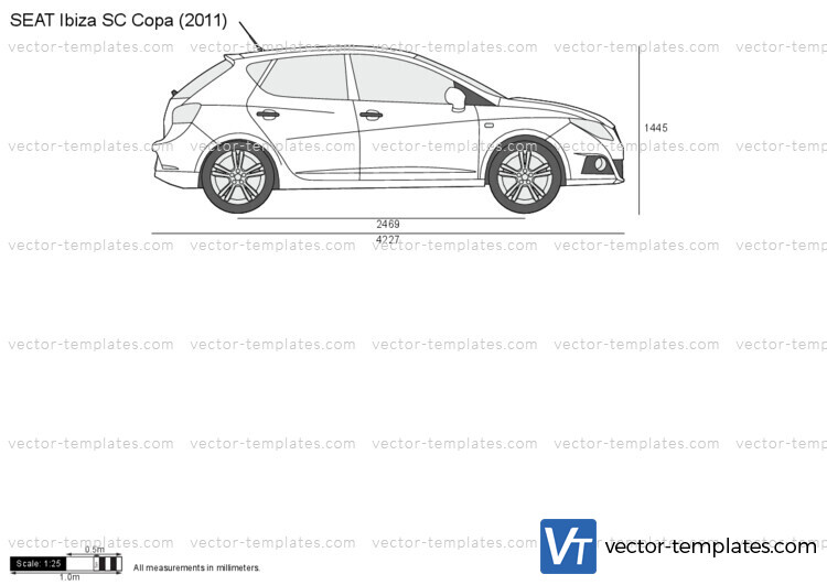 SEAT Ibiza SC Copa