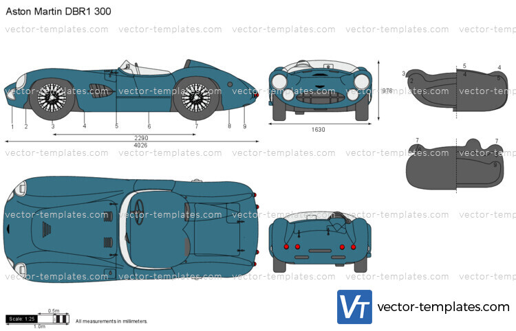 Aston Martin DBR1 300