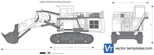 Liebherr R 9250 Shovel Mining Excavator