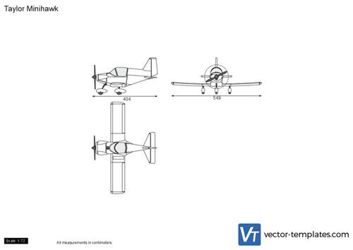 Taylor Minihawk