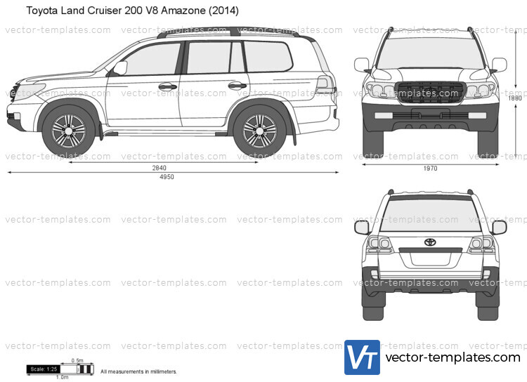 Toyota Land Cruiser 200 V8 Amazone