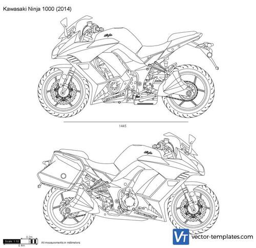 Kawasaki Ninja 1000