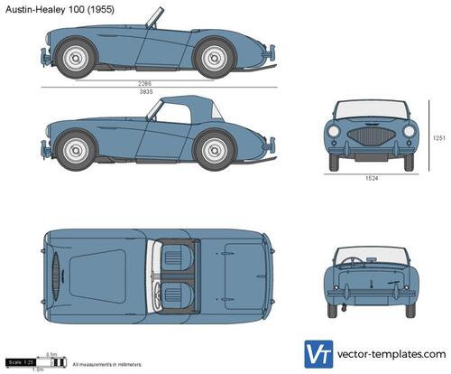 Austin-Healey 100