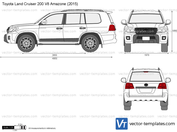 Toyota Land Cruiser 200 V8 Amazone