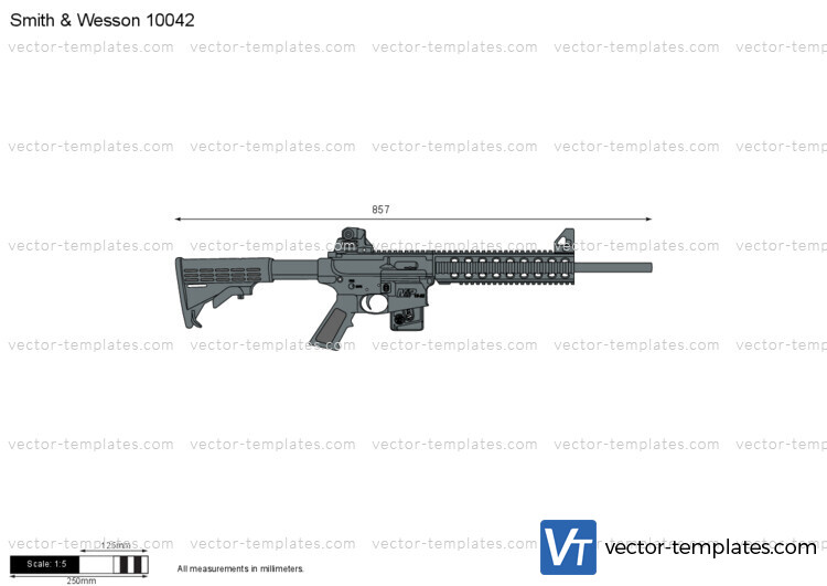 Smith & Wesson 10042