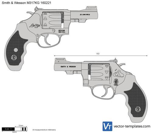 Smith & Wesson M317KG 160221