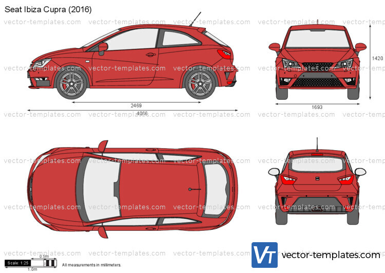 Seat Ibiza Cupra