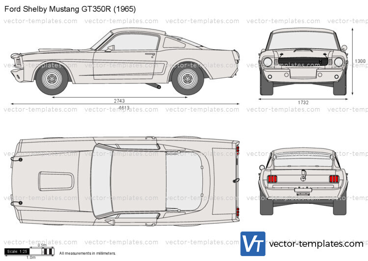 Ford Shelby Mustang GT350R