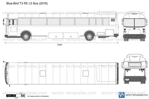 Blue-Bird T3 RE L5 Bus