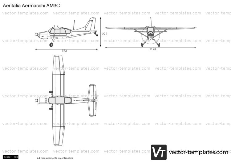 Aeritalia Aermacchi AM3C