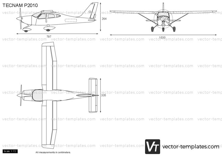 TECNAM P2010