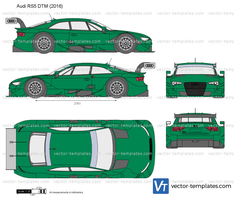 Audi RS5 DTM