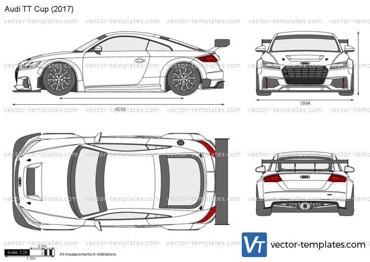 Audi TT Cup