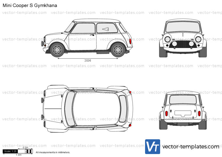 Mini Cooper S Gymkhana