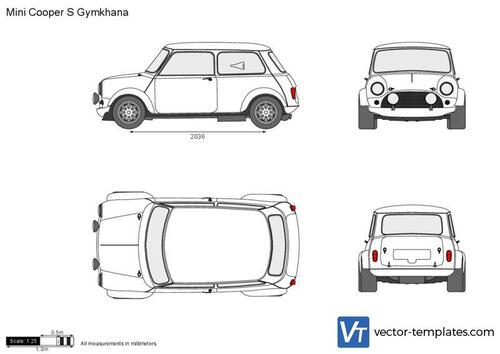 Mini Cooper S Gymkhana