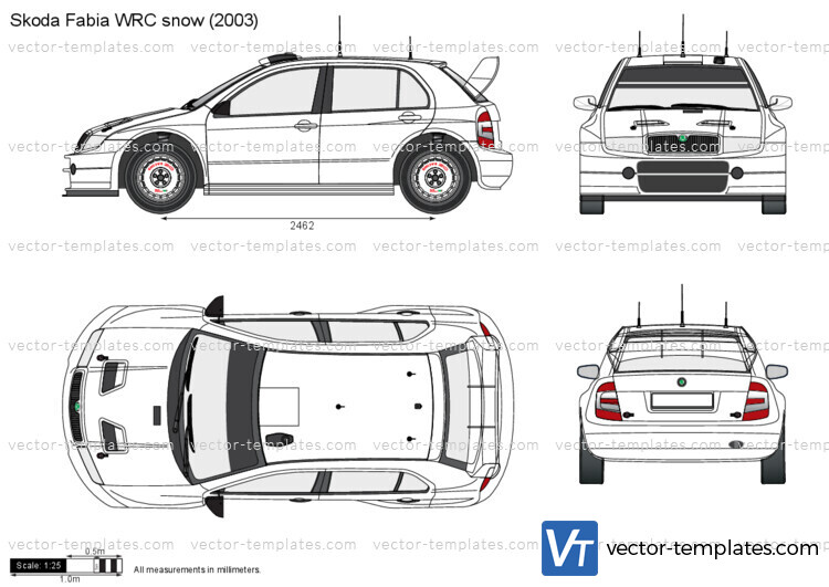 Skoda Fabia WRC snow