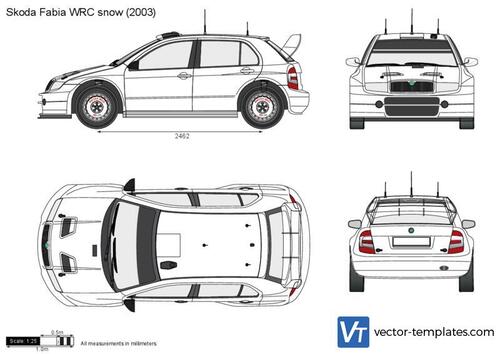 Skoda Fabia WRC snow