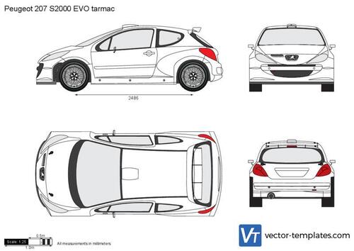 Peugeot 207 S2000 EVO tarmac