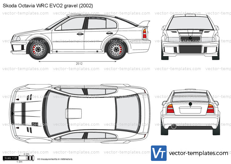 Skoda Octavia WRC EVO2 gravel