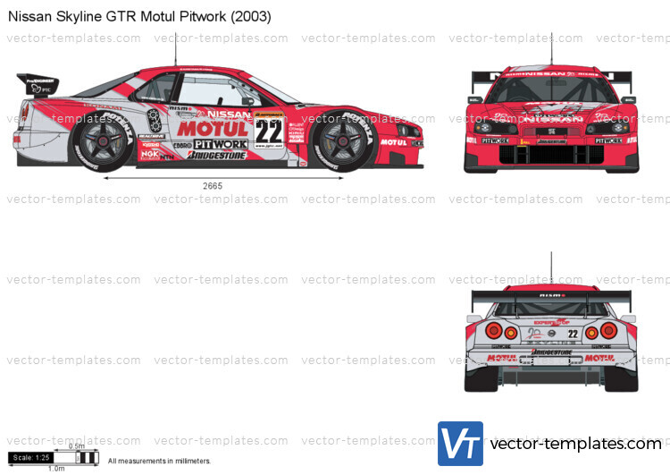 Nissan Skyline GTR Motul Pitwork