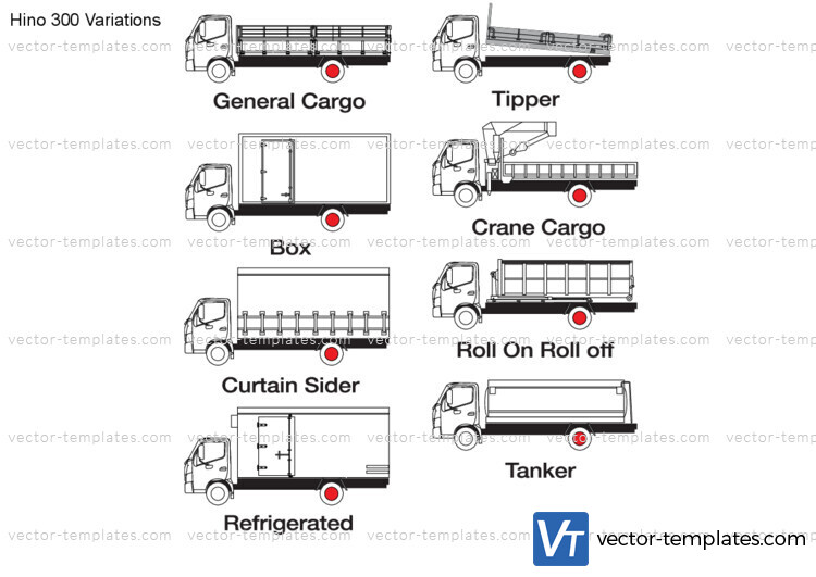 Hino 300 Variations