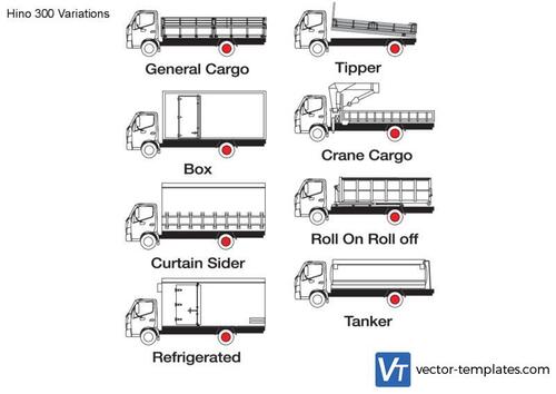 Hino 300 Variations