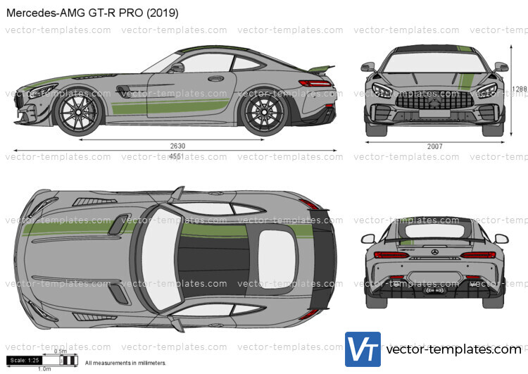 Mercedes-AMG GT-R PRO