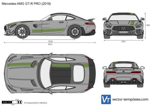 Mercedes-AMG GT-R PRO