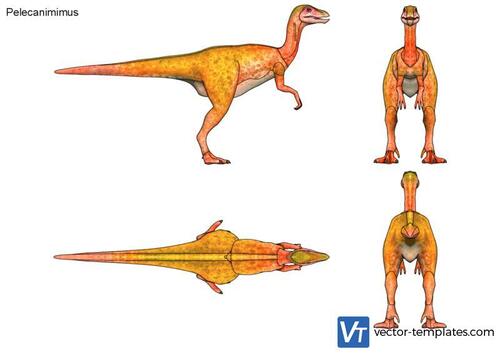 Pelecanimimus