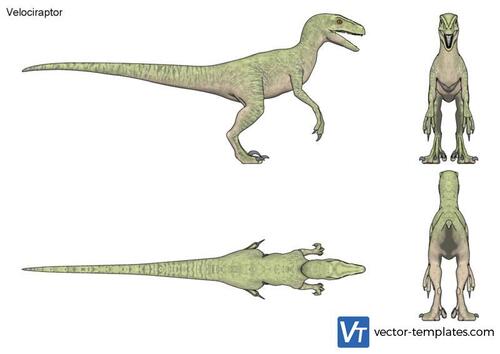 Velociraptor