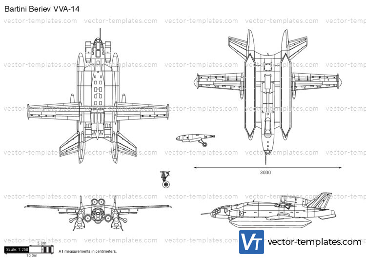 Bartini Beriev VVA-14