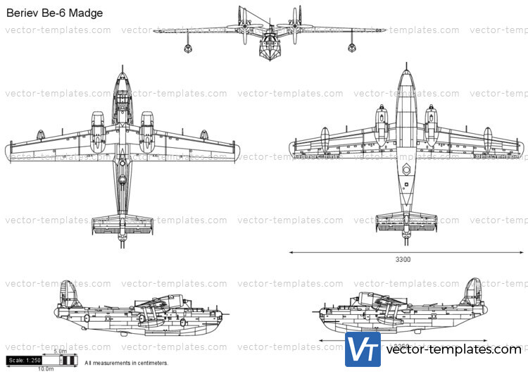 Beriev Be-6 Madge