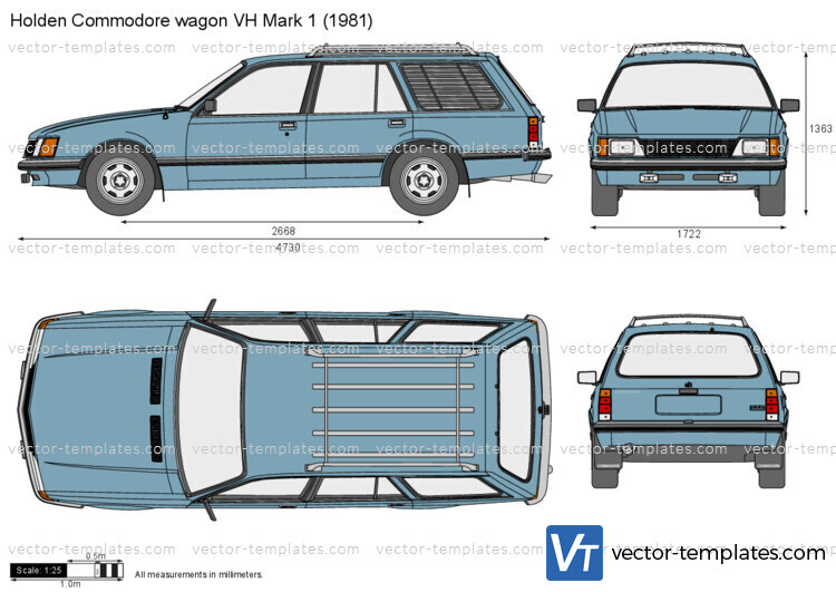 Holden Commodore wagon VH Mark 1